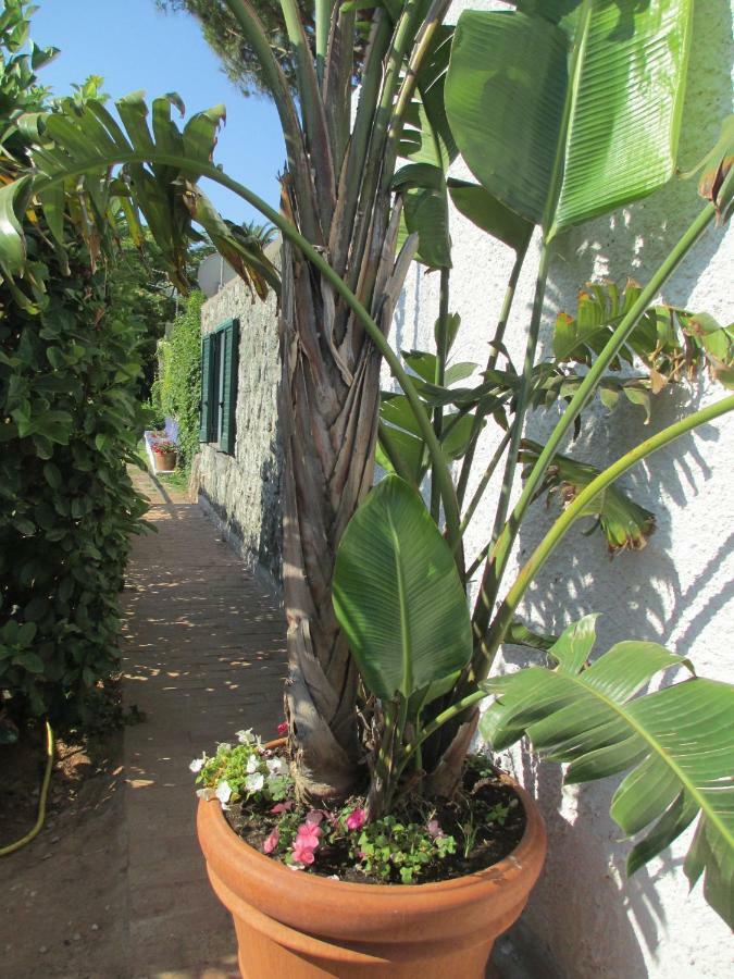 Appartamento Sporting Forio (Isola d'Ischia) Exterior foto